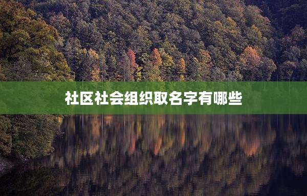 社区社会组织取名字有哪些