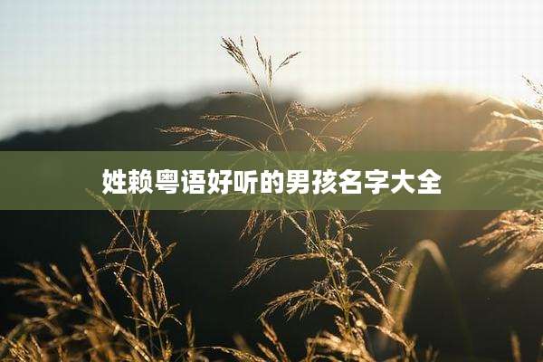 姓赖粤语好听的男孩名字大全