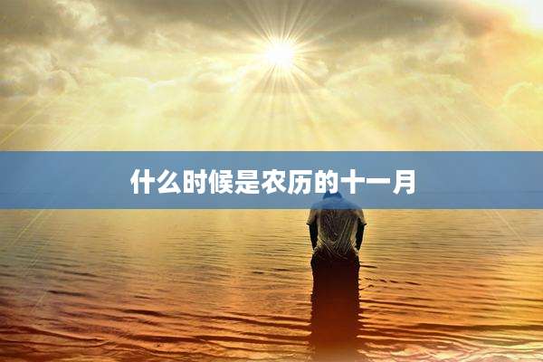 什么时候是农历的十一月