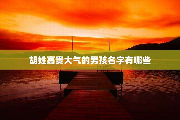 胡姓高贵大气的男孩名字有哪些
