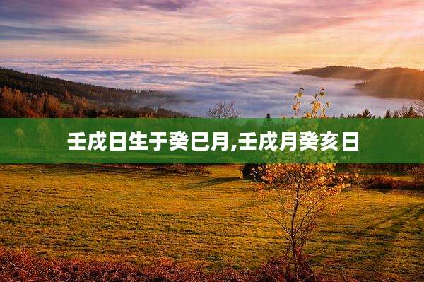 壬戌日生于癸巳月,壬戌月癸亥日