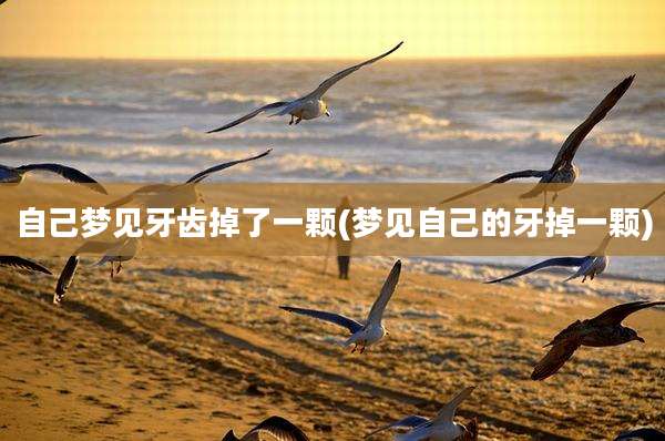 自己梦见牙齿掉了一颗(梦见自己的牙掉一颗)