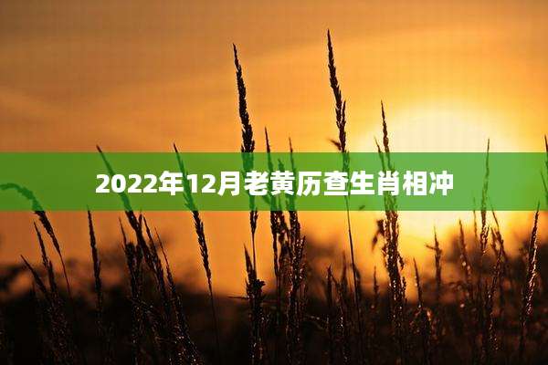 2022年12月老黄历查生肖相冲