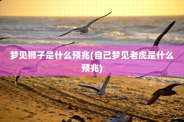 梦见狮子是什么预兆(自己梦见老虎是什么预兆)
