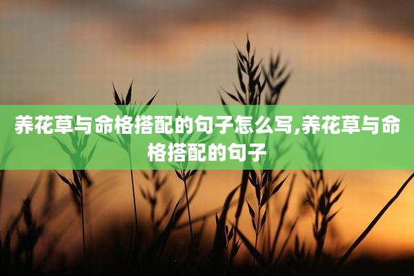 养花草与命格搭配的句子怎么写,养花草与命格搭配的句子
