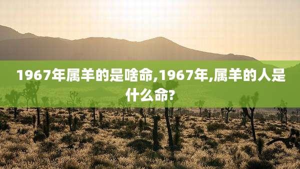 1967年属羊的是啥命,1967年,属羊的人是什么命?