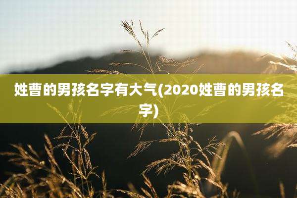 姓曹的男孩名字有大气(2020姓曹的男孩名字)