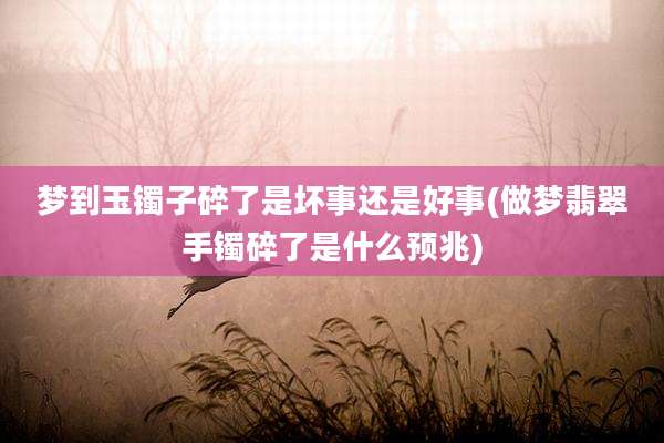 梦到玉镯子碎了是坏事还是好事(做梦翡翠手镯碎了是什么预兆)