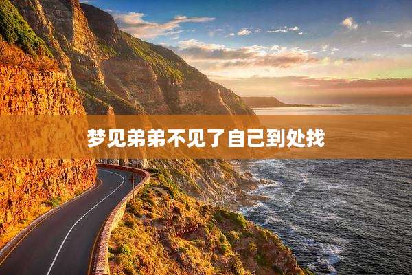 梦见弟弟不见了自己到处找