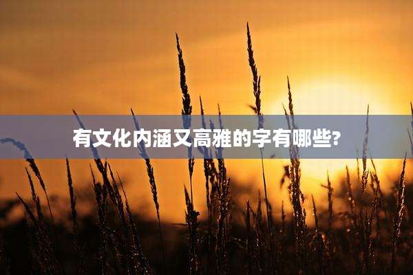 有文化内涵又高雅的字有哪些?