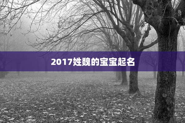 2017姓魏的宝宝起名