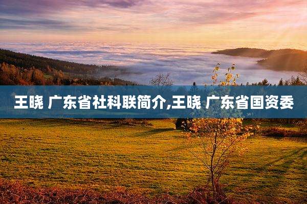王晓 广东省社科联简介,王晓 广东省国资委