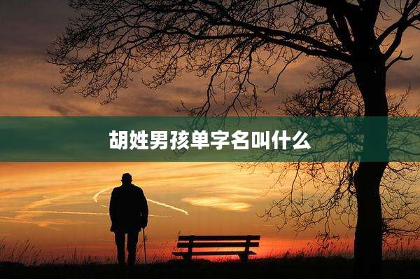 胡姓男孩单字名叫什么