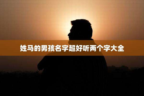 姓马的男孩名字超好听两个字大全