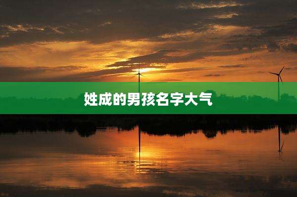 姓成的男孩名字大气
