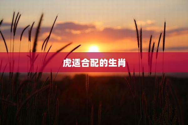 虎适合配的生肖
