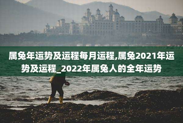 属兔年运势及运程每月运程,属兔2021年运势及运程_2022年属兔人的全年运势