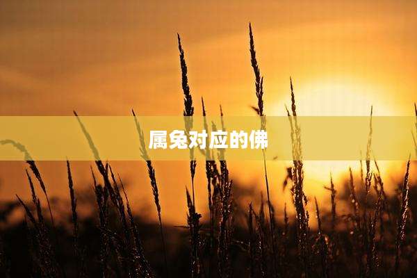 属兔对应的佛