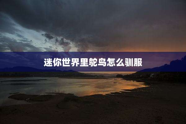 迷你世界里鸵鸟怎么驯服