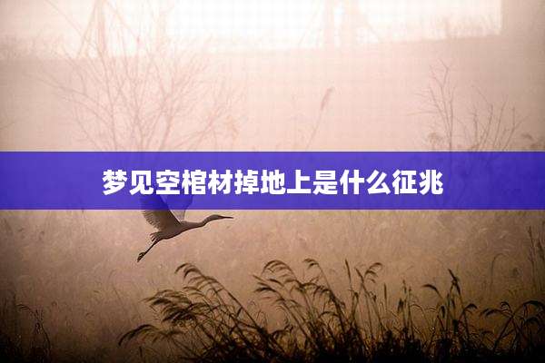 梦见空棺材掉地上是什么征兆