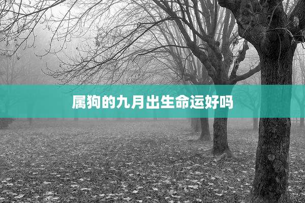 属狗的九月出生命运好吗