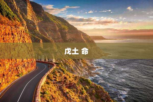 戊土 命