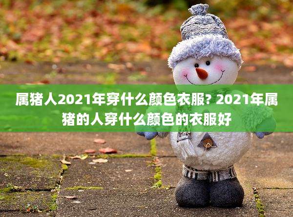 属猪人2021年穿什么颜色衣服? 2021年属猪的人穿什么颜色的衣服好