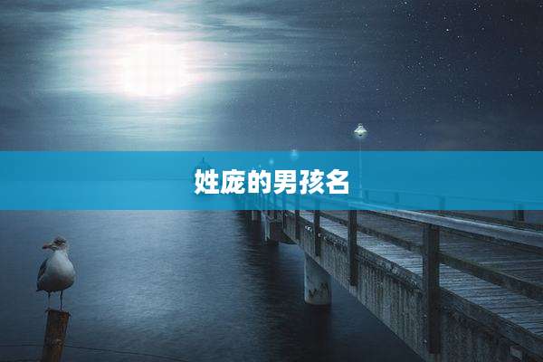 姓庞的男孩名