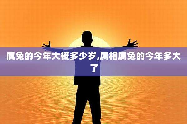 属兔的今年大概多少岁,属相属兔的今年多大了
