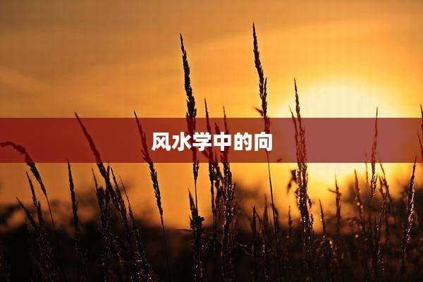 风水学中的向