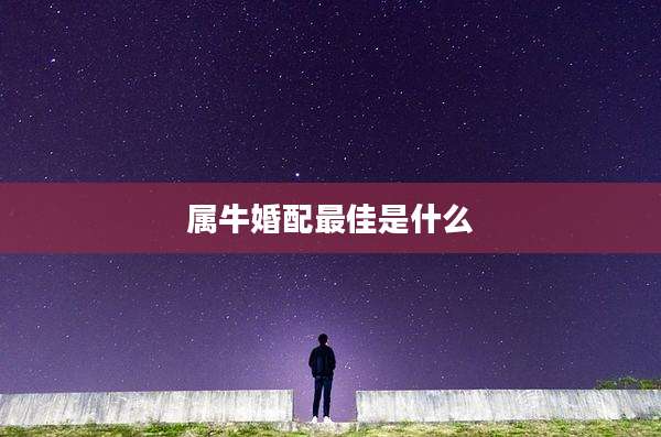 属牛婚配最佳是什么