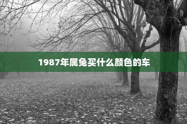 1987年属兔买什么颜色的车