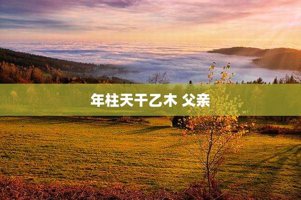 年柱天干乙木 父亲
