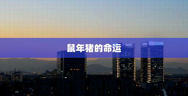 鼠年猪的命运