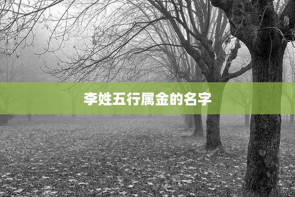 李姓五行属金的名字