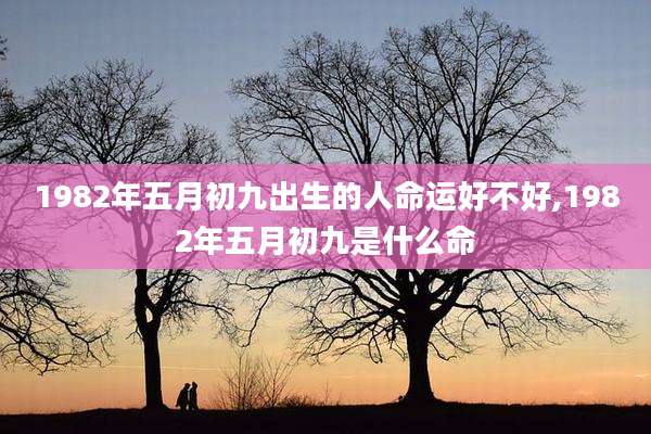1982年五月初九出生的人命运好不好,1982年五月初九是什么命