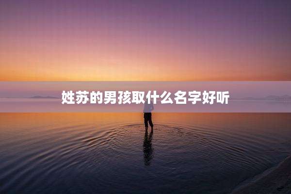 姓苏的男孩取什么名字好听