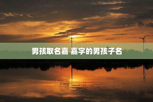 男孩取名嘉 嘉字的男孩子名