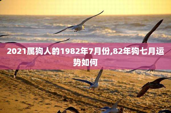 2021属狗人的1982年7月份,82年狗七月运势如何