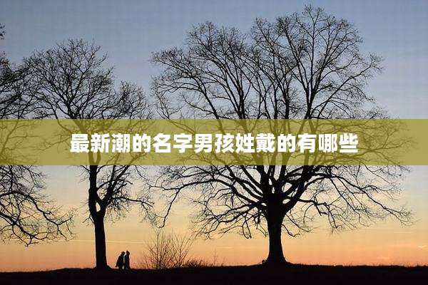 最新潮的名字男孩姓戴的有哪些
