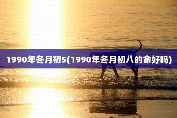 1990年冬月初5(1990年冬月初八的命好吗)