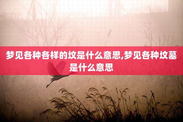 梦见各种各样的坟是什么意思,梦见各种坟墓是什么意思