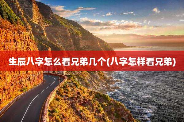 生辰八字怎么看兄弟几个(八字怎样看兄弟)