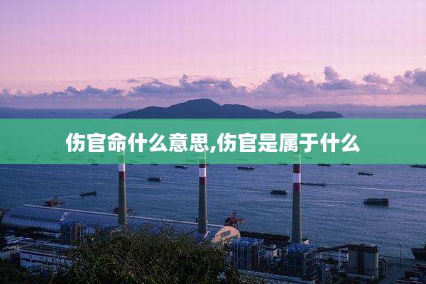 伤官命什么意思,伤官是属于什么