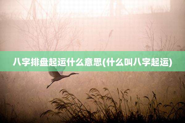 八字排盘起运什么意思(什么叫八字起运)