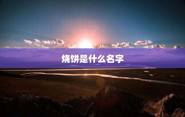 烧饼是什么名字