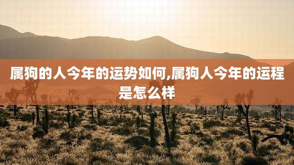属狗的人今年的运势如何,属狗人今年的运程是怎么样