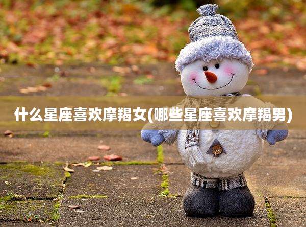 什么星座喜欢摩羯女(哪些星座喜欢摩羯男)