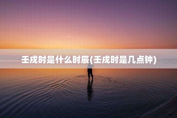 壬戌时是什么时辰(壬戌时是几点钟)