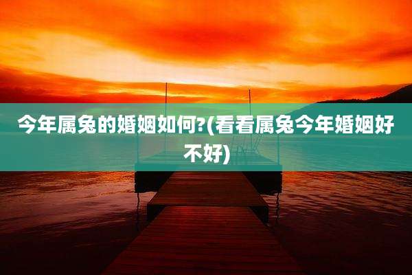 今年属兔的婚姻如何?(看看属兔今年婚姻好不好)